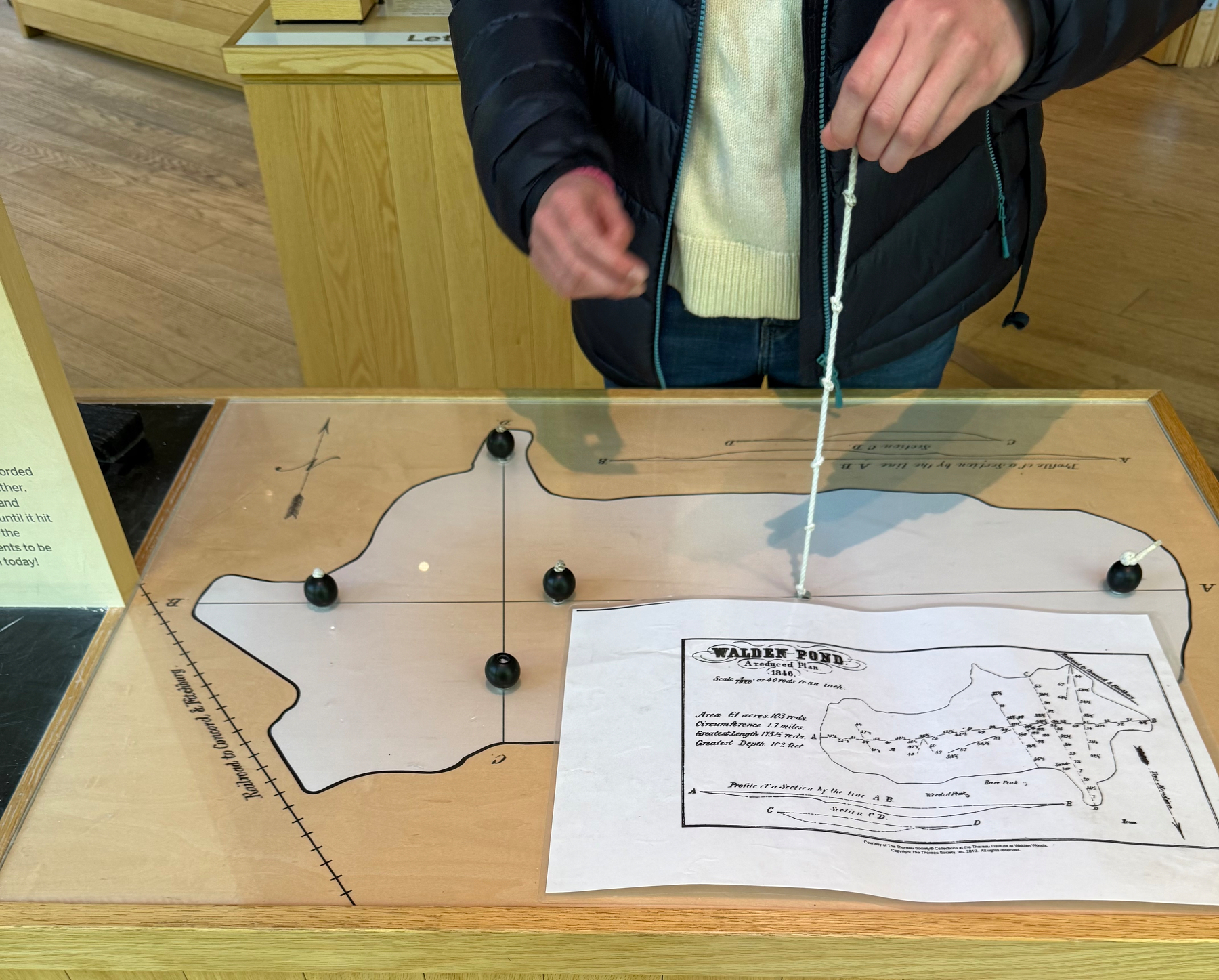 Caroline is standing next to a wooden table which has a lake depicted on it. At different points in the lake, there are knobs you can pull up, and ropes that represent the depth. Some are very short. The one she is pulling is at the center of the lake, so it is longer. These represent a method Henry David Thoreau used to measure the bottom of the lake. He wiated until it was frozen solid, and then drilled into the ice and tied a stone to a rope, and left it sink to the bottom. He knew then that the depth of the lake was however far it took for the tension to slacken and the stone to reach the bottom of the lake. 